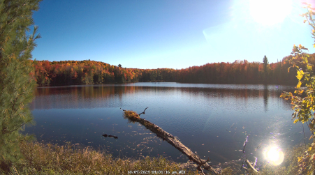 Image from 2024-10-09
