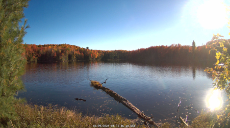 Image from 2024-10-09