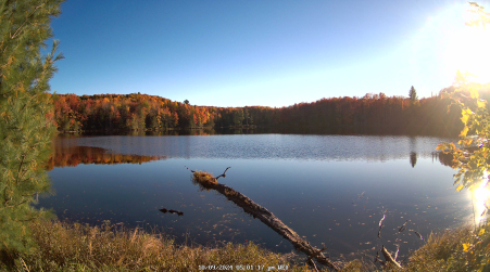 Image from 2024-10-09