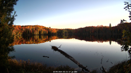 Image from 2024-10-09