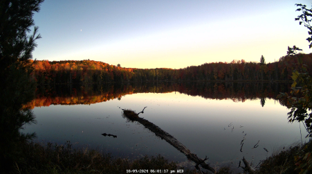 Image from 2024-10-09