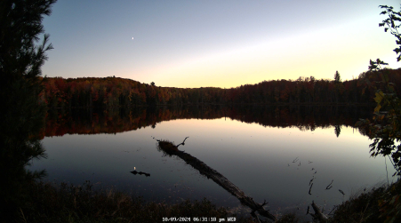 Image from 2024-10-09