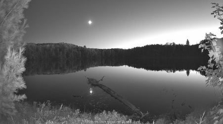 Image from 2024-10-09