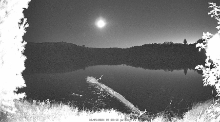 Image from 2024-10-09