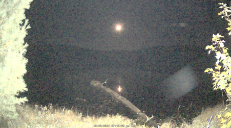 Image from 2024-10-09