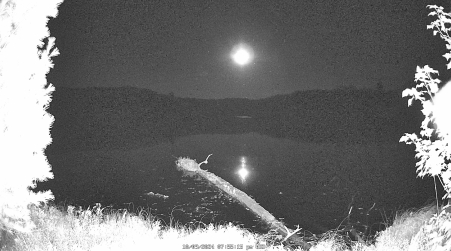 Image from 2024-10-09