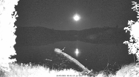 Image from 2024-10-09