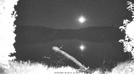 Image from 2024-10-09