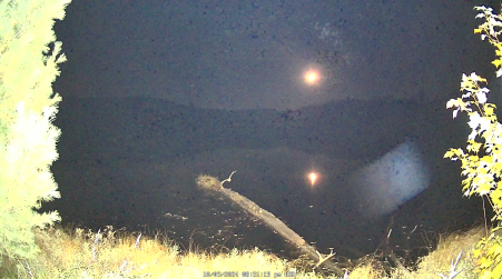 Image from 2024-10-09