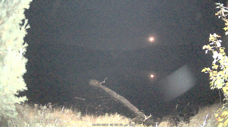 Image from 2024-10-09