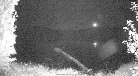 Image from 2024-10-09