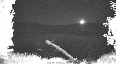 Image from 2024-10-09
