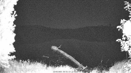 Image from 2024-10-09