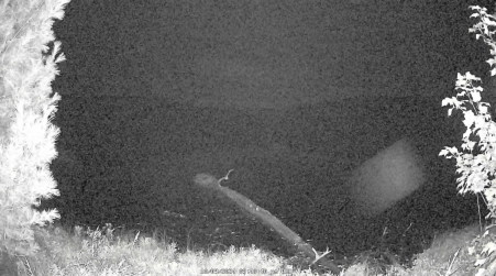 Image from 2024-10-09