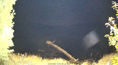 Image from 2024-10-09