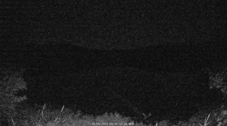 Image from 2024-10-09