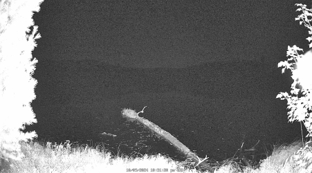 Image from 2024-10-09