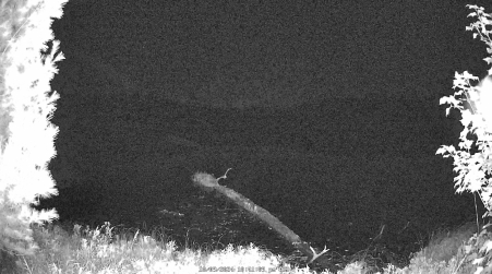 Image from 2024-10-09