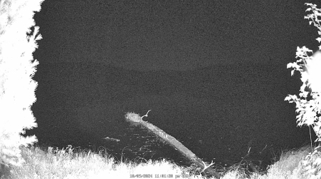 Image from 2024-10-09
