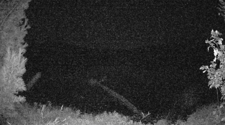 Image from 2024-10-09
