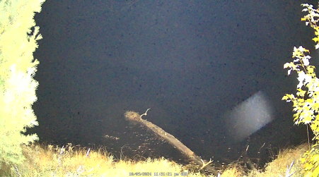 Image from 2024-10-09