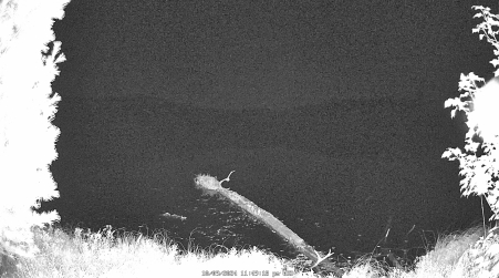 Image from 2024-10-09