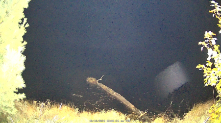 Image from 2024-10-10
