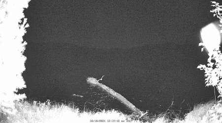 Image from 2024-10-10
