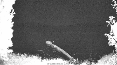 Image from 2024-10-10
