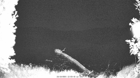 Image from 2024-10-10