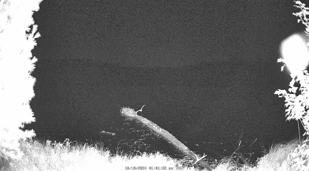 Image from 2024-10-10