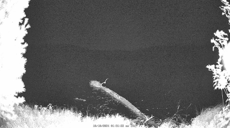 Image from 2024-10-10