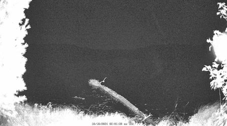 Image from 2024-10-10