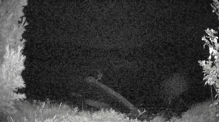Image from 2024-10-10