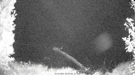 Image from 2024-10-10