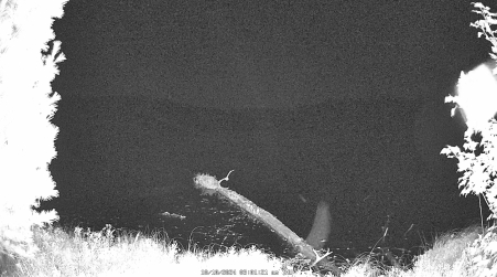 Image from 2024-10-10