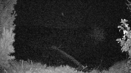 Image from 2024-10-10
