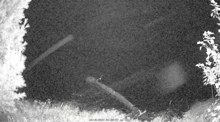 Image from 2024-10-10