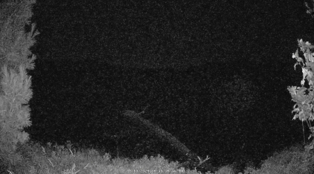 Image from 2024-10-10