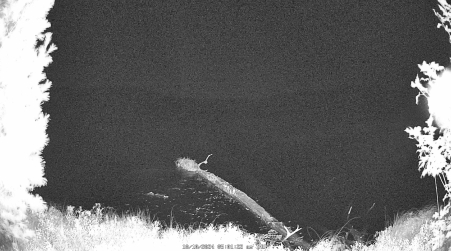 Image from 2024-10-10