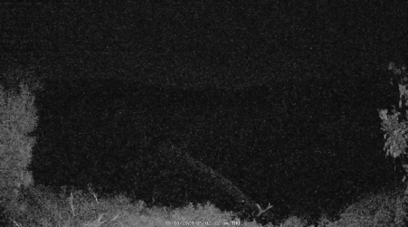 Image from 2024-10-10