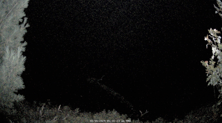 Image from 2024-10-10