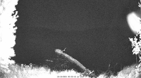 Image from 2024-10-10