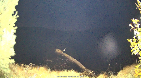 Image from 2024-10-10