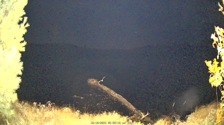 Image from 2024-10-10