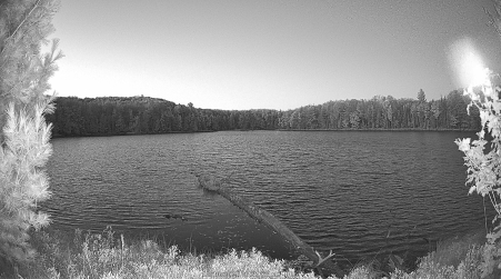 Image from 2024-10-10