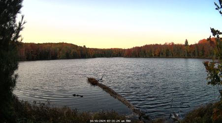 Image from 2024-10-10