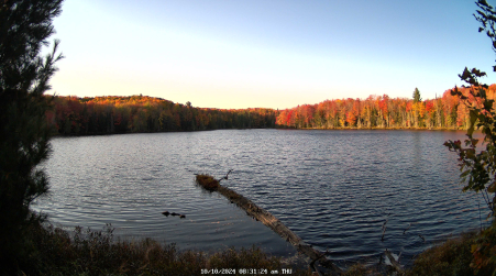 Image from 2024-10-10