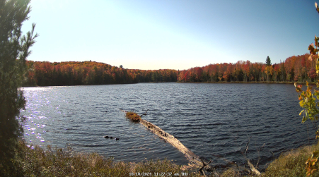 Image from 2024-10-10