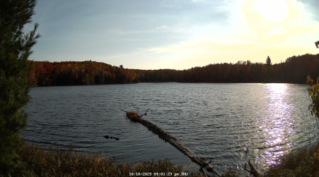 Image from 2024-10-10